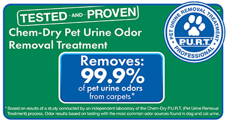 Chem-Dry of Springfield removes 99.9% of pet urine odors from carpets
